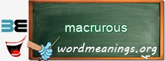 WordMeaning blackboard for macrurous